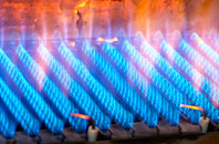 Beckford gas fired boilers